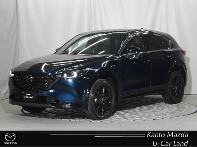 新着中古車