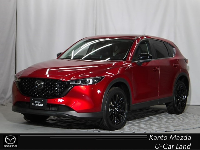 新着中古車