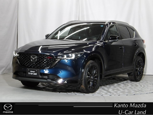 新着中古車
