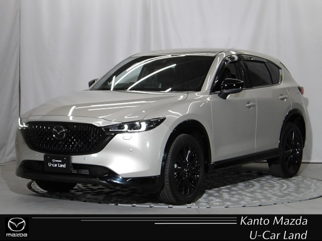 新着中古車