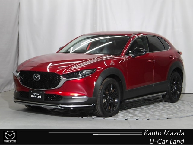 新着中古車