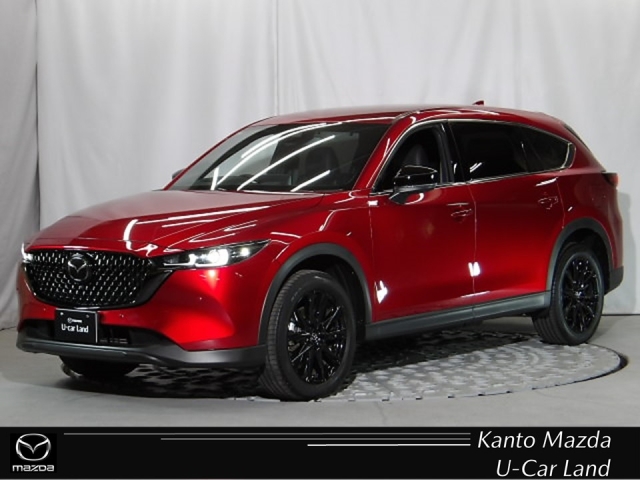 新着中古車