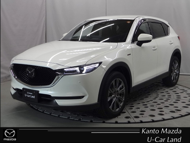新着中古車