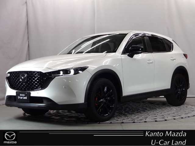 新着中古車