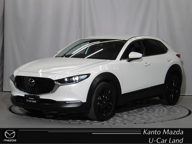新着中古車