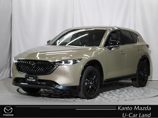 新着中古車
