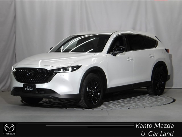 新着中古車