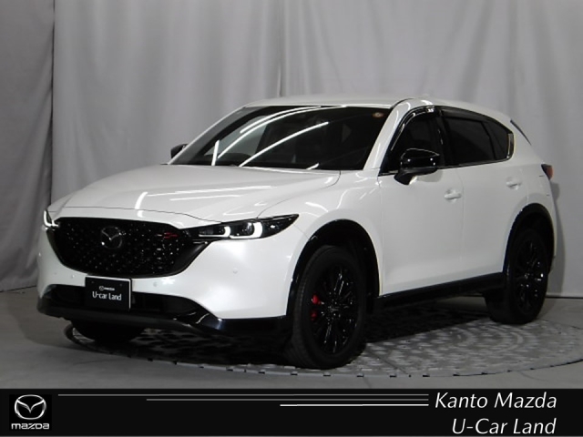 新着中古車