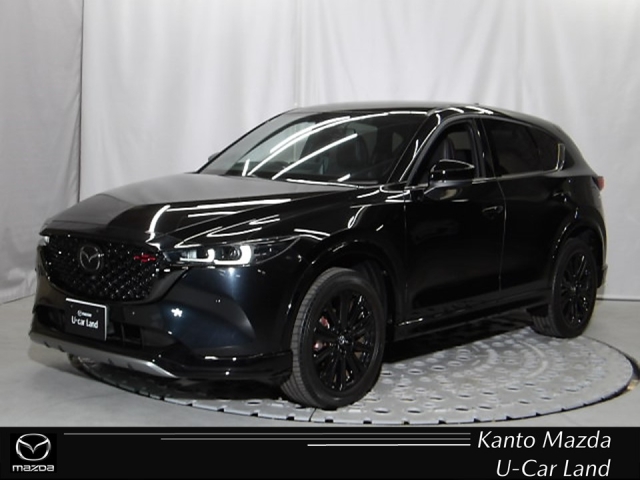 新着中古車