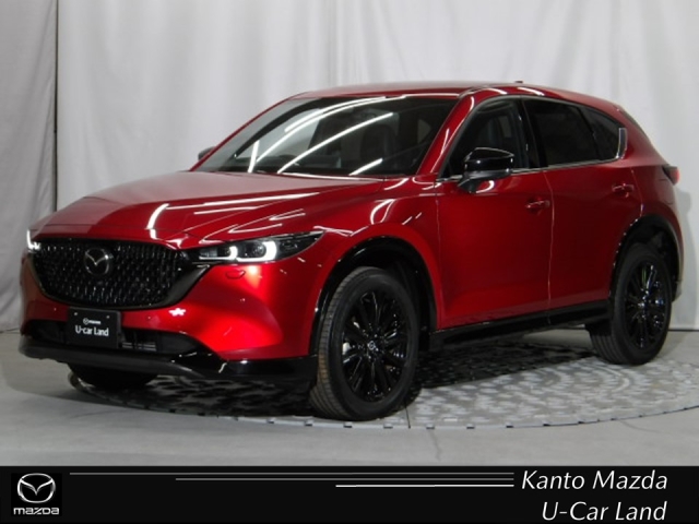 新着中古車