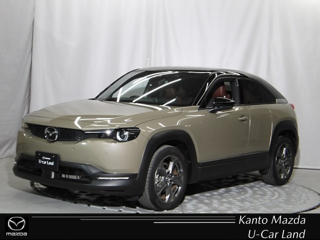 新着中古車