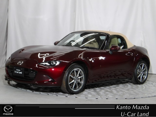 新着中古車