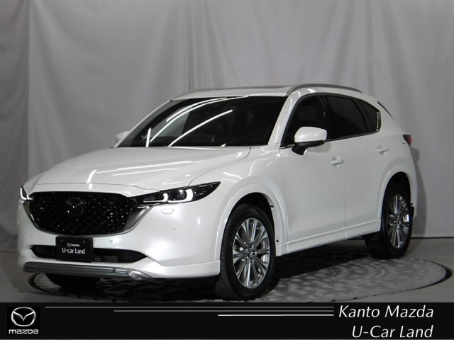 新着中古車