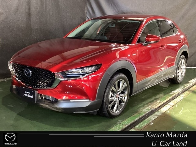新着中古車