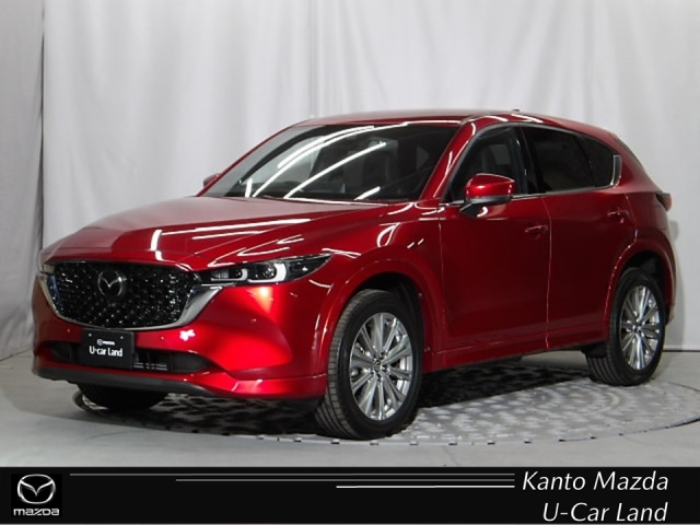 新着中古車