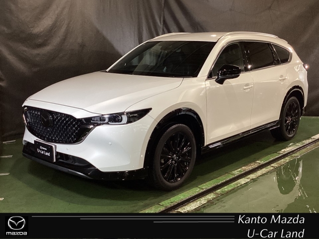 新着中古車