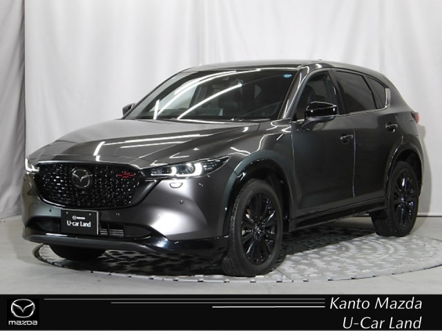 新着中古車
