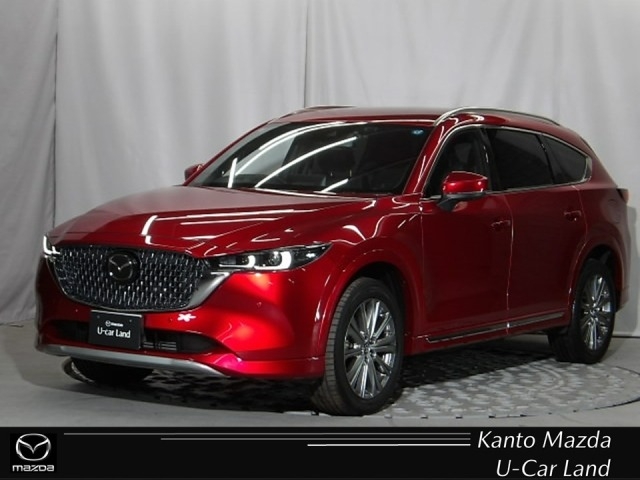 新着中古車