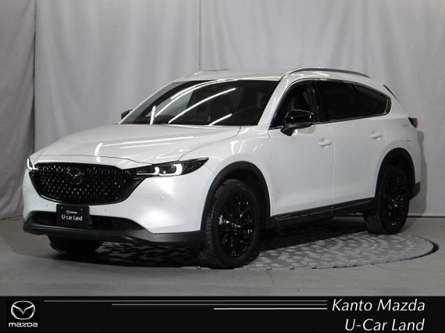 新着中古車