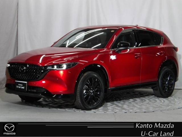 新着中古車