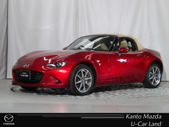 新着中古車