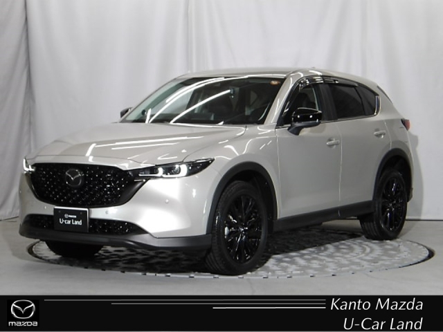 新着中古車