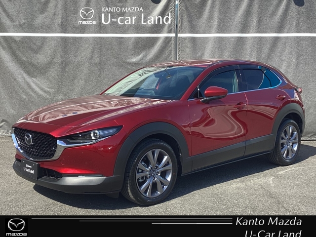 CX-30 2.0 20S プロアクティブ