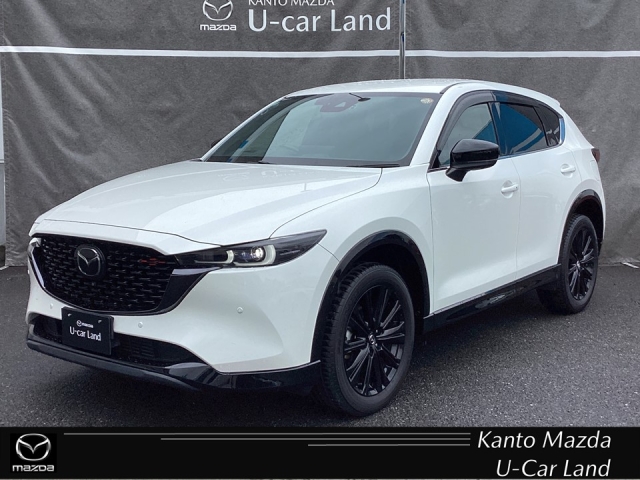 新着中古車