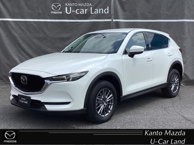 新着中古車
