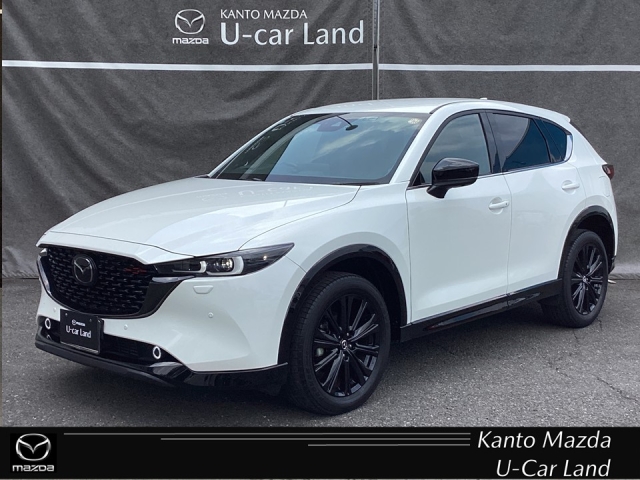 新着中古車