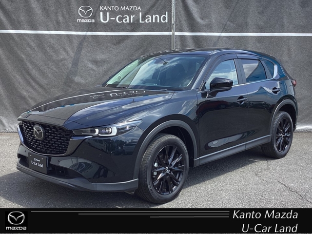 新着中古車