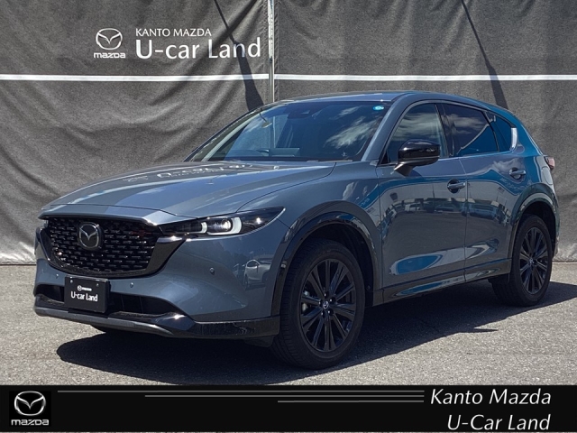 新着中古車