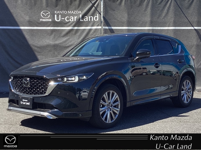 新着中古車