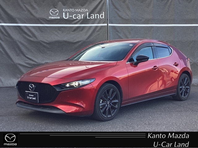 新着中古車
