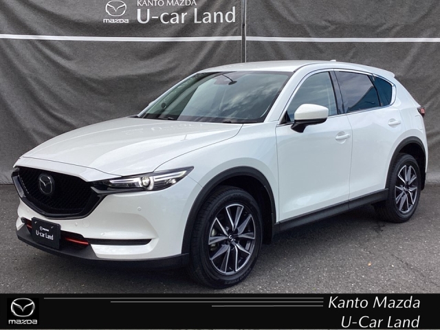 新着中古車