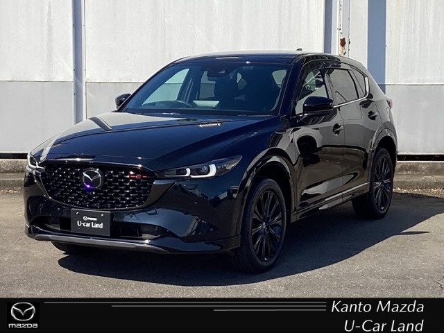 新着中古車