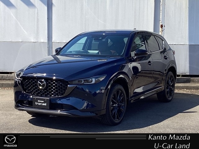 新着中古車