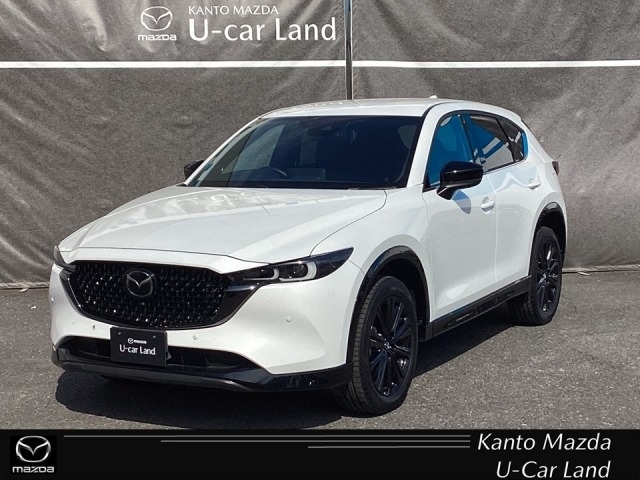 新着中古車