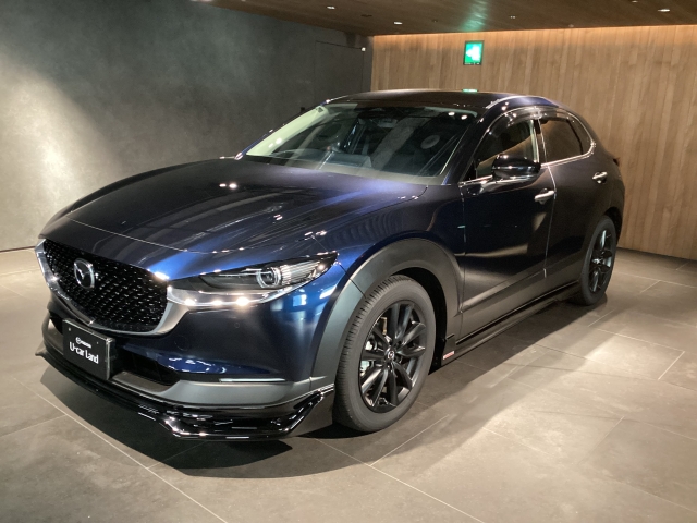 新着中古車