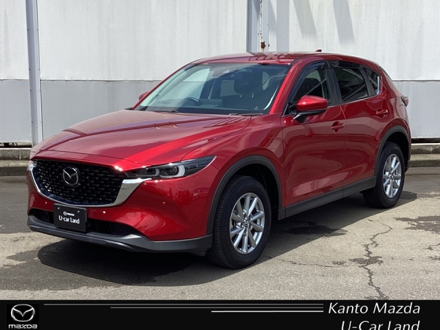 新着中古車