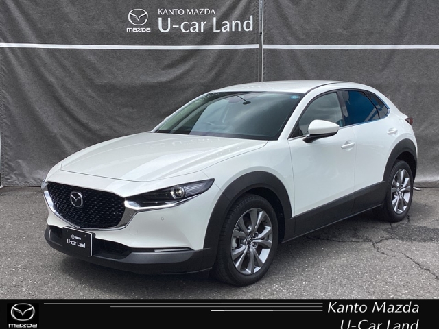 新着中古車