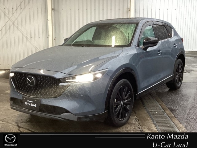 新着中古車