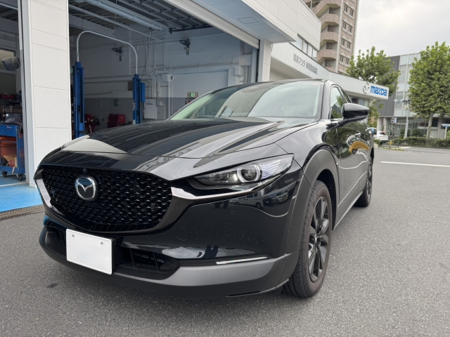 新着中古車