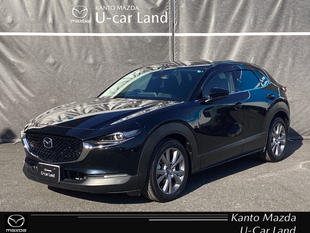 CX-30 2.0 20S プロアクティブ