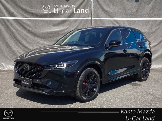 新着中古車