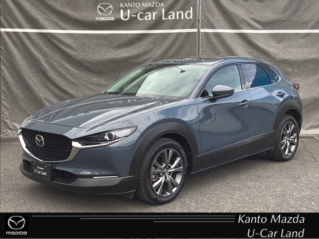 新着中古車