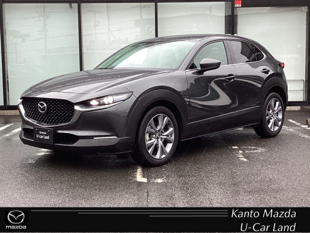新着中古車
