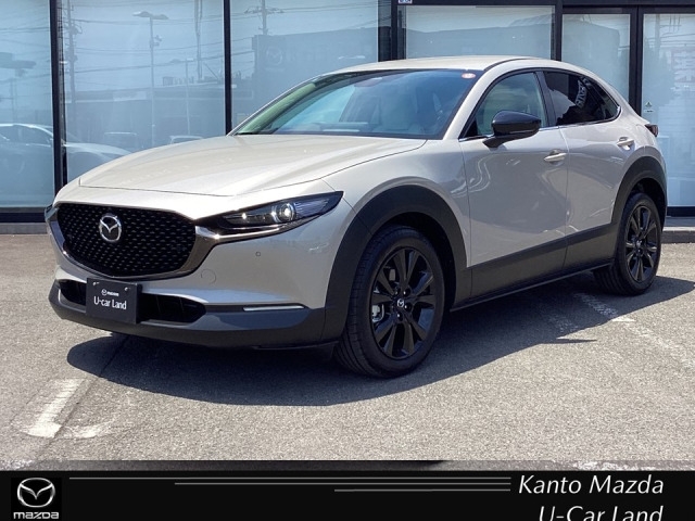 新着中古車