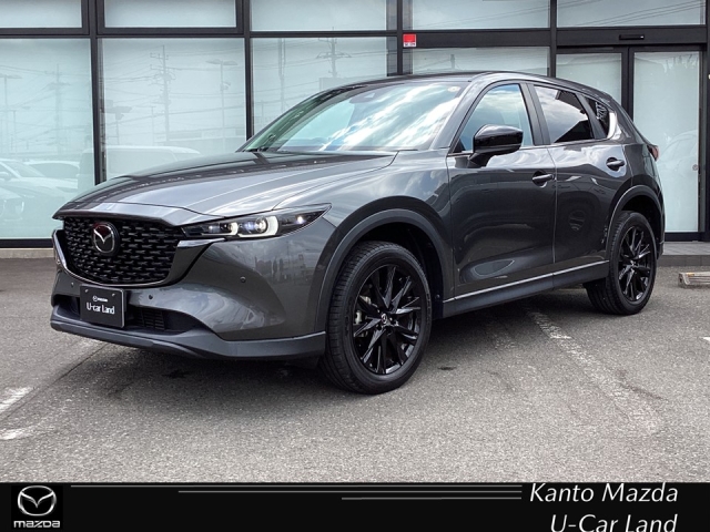 新着中古車