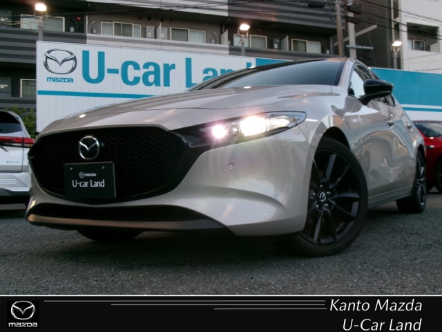 新着中古車